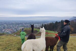 20201205_103628 20201205_103628