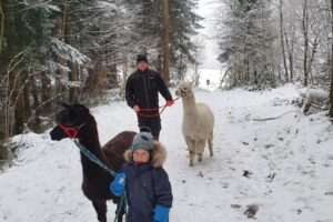 20210106_162331 20210106_162331