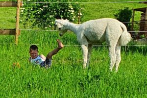 20210610_173637 20210610_173637