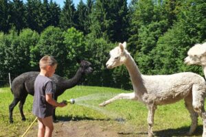 20210614_151916 20210614_151916