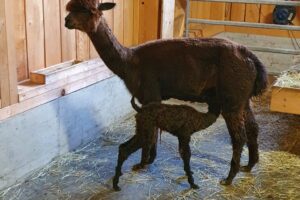 20211021_165523 20211021_165523