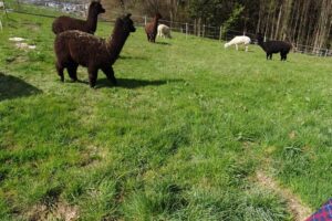 20230410_133100 20230410_133100