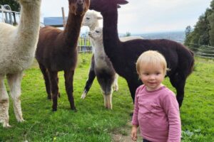 20231003_180025 20231003_180025