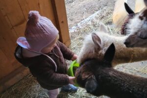 20231016_181703 20231016_181703