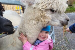 20240221_163357 20240221_163357