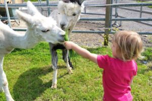 20240516_144443 20240516_144443